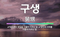 🌟구생: 장인과 사위를 아울러 이르는 말., 외삼촌과 생질을 아울러 이르는 말. - 표준국어대사전