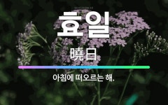 🌟효일: 아침에 떠오르는 해. - 표준국어대사전