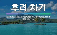 🌟후려 차기: 태권도에서, 몸의 좌우를 발뒤꿈치나 발바닥으로 후리며 돌려 차는 기술. - 표준국어대사전