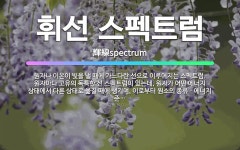 🌟휘선 스펙트럼: 원자나 이온이 빛을 낼 때에 가느다란 선으로 이루어지는 스펙트럼. 원자마다 고유의 독특한... - 표준국어대사전