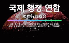 🌟국제 행정 연합: 교통, 통신, 통상, 위생, 문화 따위의 행정 사무에 관한 국제 협력을 목적으로 결성한... - 표준국어대사전