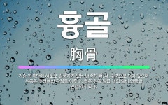 🌟흉골: 가슴 한복판에 세로로 길쭉하게 있는 납작한 뼈. 세 부분으로 되어 있으며 위쪽은 빗장뼈와 관절을 ... - 표준국어대사전