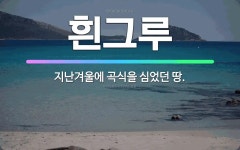 🌟흰그루: 지난겨울에 곡식을 심었던 땅. - 표준국어대사전