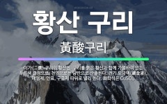 🌟황산 구리: 이가(二價) 구리의 황산염. 구리를 묽은 황산과 함께 가열하여 얻는 푸른색 결정으로, 천연으... - 표준국어대사전