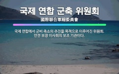 🌟국제 연합 군축 위원회: 국제 연합에서 군비 축소의 추진을 목적으로 이루어진 위원회. 안전 보장 이사회의... - 표준국어대사전