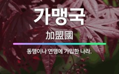 🌟가맹국: 동맹이나 연맹에 가입한 나라. - 표준국어대사전