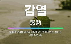 🌟감열: 물질의 상태를 바꾸지 아니하고 단순히 온도만 높이는 데에 드는 열. - 표준국어대사전