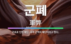 🌟군폐: 군포로 인한 폐단. 대개 군역의 폐단이라고 한다. - 표준국어대사전