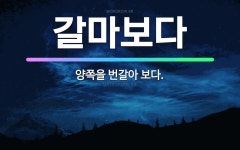 🌟갈마보다: 양쪽을 번갈아 보다. - 표준국어대사전