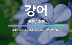 🌟강어: 억세어 남의 충고를 듣지 아니함. 또는 그런 사람. - 표준국어대사전