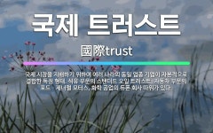 🌟국제 트러스트: 국제 시장을 지배하기 위하여 여러 나라의 동일 업종 기업이 자본적으로 결합한 독점 형태.... - 표준국어대사전
