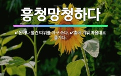 🌟흥청망청하다: 흥에 겨워 마음대로 즐기다., 돈이나 물건 따위를 마구 쓰다. - 표준국어대사전