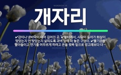 🌟개자리: 활터에서, 사람이 들어가 화살이 맞았는지 안 맞았는지 살피도록 과녁 앞에 파 놓은 구덩이., 불... - 표준국어대사전