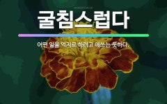 🌟굴침스럽다: 어떤 일을 억지로 하려고 애쓰는 듯하다. - 표준국어대사전
