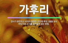 🌟가후리: 경사가 완만하고 바닥이 평평한 연안에 후릿그물을 쳐서 바닷가로 고기를 끌어들여 잡는 방법. - 표준국어대사전