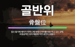 🌟골반위: 임신 말기에 태아가 어머니 배 속에서 머리를 위로 하고 있는 상태. 비정상적인 위치 때문에 자연... - 표준국어대사전