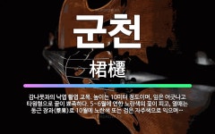 🌟군천: 감나뭇과의 낙엽 활엽 교목. 높이는 10미터 정도이며, 잎은 어긋나고 타원형으로 끝이 뾰족하다. ... - 표준국어대사전