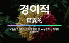 🌟경이적: 놀랍고 신기하게 여길 만한 것., 놀랍고 신기하게 여길 만한. - 표준국어대사전