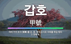 🌟갑호: 여러 가지 호수(號數)를 갑, 을, 병의 순서로 차례를 매길 때의 그 첫째 호. - 표준국어대사전