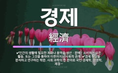 🌟경제: 경제 현상을 분석하고 연구하는 학문. 사회 과학의 한 분야로 국민 경제학, 경영학, 재정학, 가정... - 표준국어대사전