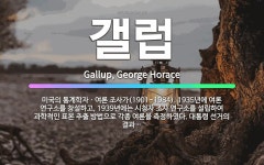 🌟갤럽: 미국의 통계학자ㆍ여론 조사가(1901~1984). 1935년에 여론 연구소를 창설하고, 1939년... - 표준국어대사전
