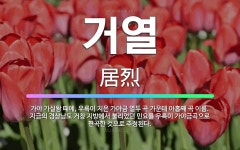 🌟거열: 가야 가실왕 때에, 우륵이 지은 가야금 열두 곡 가운데 아홉째 곡 이름. 지금의 경상남도 거창 지... - 표준국어대사전