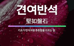 🌟견여반석: 기초가 반석처럼 튼튼함을 이르는 말. - 표준국어대사전