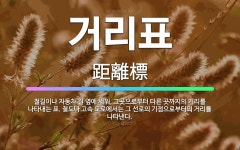 🌟거리표: 철길이나 자동차 길 옆에 세워, 그곳으로부터 다른 곳까지의 거리를 나타내는 표. 철도나 고속 도... - 표준국어대사전