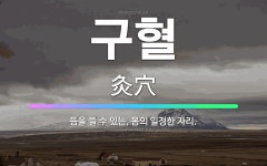 🌟구혈: 뜸을 뜰 수 있는, 몸의 일정한 자리. - 표준국어대사전