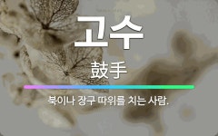 🌟고수: 북이나 장구 따위를 치는 사람. - 표준국어대사전