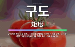 (주두인무역 | 🌟구도: 기거동작의 규율 법칙., 국가의 강제력을 수반하는 사회 규범. 국가 및 공공 기관이 제정한 법률,... - 표준국어대사전