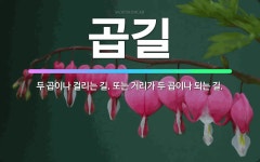 🌟곱길: 두 곱이나 걸리는 길. 또는 거리가 두 곱이나 되는 길. - 표준국어대사전