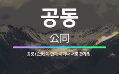 🌟공동: 공중(公衆)이 함께 하거나 서로 관계됨. - 표준국어대사전