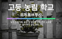 🌟고등 농림 학교: 일제 강점기에, 농업 및 임업에 관한 전문 교육을 실시하던 실업 학교. - 표준국어대사전