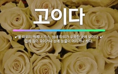 🌟고이다: 물 따위의 액체나 가스, 냄새 따위가 우묵한 곳에 모이다., 입에 침이 모이거나 눈에 눈물이 어... - 표준국어대사전