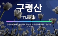 🌟구령산: 경상북도 봉화군 춘양면에 있는 산. 소백산맥에 속한다. 높이는 1,341미터. - 표준국어대사전