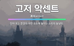 🌟고저 악센트: 단어 또는 문장의 어떤 요소에 놓이는 소리의 높낮이. - 표준국어대사전
