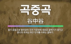 🌟곡중곡: 융기 운동으로 말미암아 곡저 가운데에 새로운 골짜기가 생기고 본디의 곡저는 하안 단구를 이루는 ... - 표준국어대사전