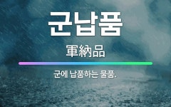 🌟군납품: 군에 납품하는 물품. - 표준국어대사전
