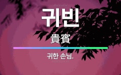 🌟귀빈: 귀한 손님. - 표준국어대사전