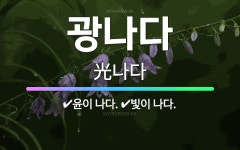🌟광나다: 윤이 나다., 빛이 나다. - 표준국어대사전