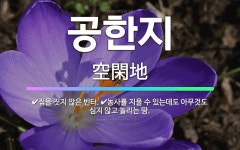 🌟공한지: 농사를 지을 수 있는데도 아무것도 심지 않고 놀리는 땅., 집을 짓지 않은 빈터. - 표준국어대사전