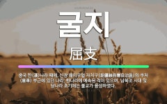 🌟굴지: 중국 한(漢)나라 때에, 신장 웨이우얼 자치구(新疆維吾爾自治區)의 쿠처(庫車) 부근에 있던 나라.... - 표준국어대사전