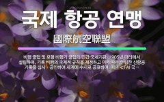 🌟국제 항공 연맹: 비행 클럽 및 모형 비행기 클럽의 민간 국제기관. 1905년 파리에서 설립하여, 기록 ... - 표준국어대사전