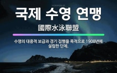 🌟국제 수영 연맹: 수영의 대중적 보급과 경기 집행을 목적으로 1908년에 설립한 단체. - 표준국어대사전