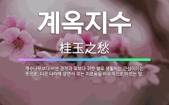 🌟계옥지수: 계수나무보다 비싼 장작과 옥보다 귀한 쌀로 생활하는 근심이라는 뜻으로, 다른 나라에 살면서 겪... - 표준국어대사전
