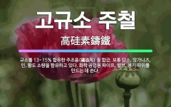 🌟고규소 주철: 규소를 13~15% 함유한 주조용(鑄造用) 철 합금. 보통 탄소, 망가니즈, 인, 황도 소... - 표준국어대사전