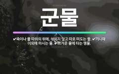 🌟군물: 죽이나 풀 따위의 위에, 섞이지 않고 따로 떠도는 물., 끼니때 이외에 마시는 물., 뜨거운 물에... - 표준국어대사전