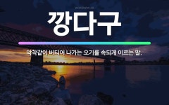 🌟깡다구: 악착같이 버티어 나가는 오기를 속되게 이르는 말. - 표준국어대사전