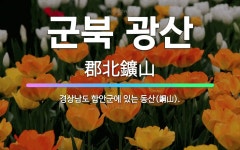 🌟군북 광산: 경상남도 함안군에 있는 동산(銅山). - 표준국어대사전